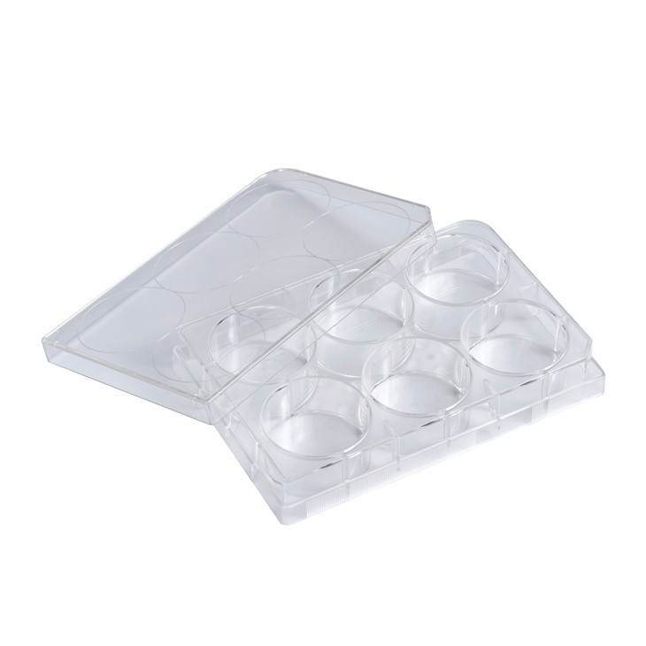 Laboratory Plastic Cell Culture Plate 6well 12 Well 24 Well 48 Well 96 Well