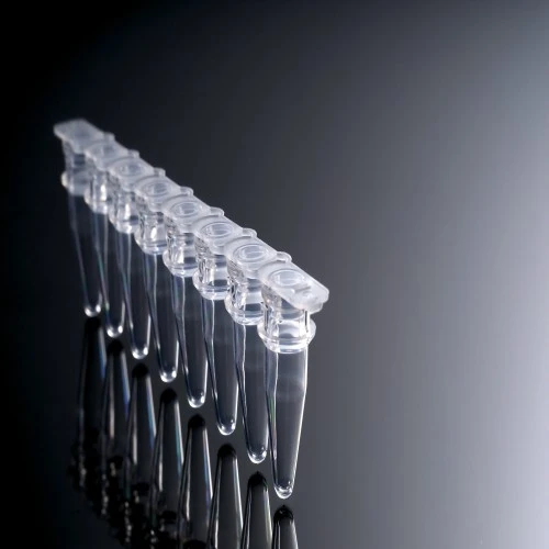 Biologix 8-Steip PCR Tubes