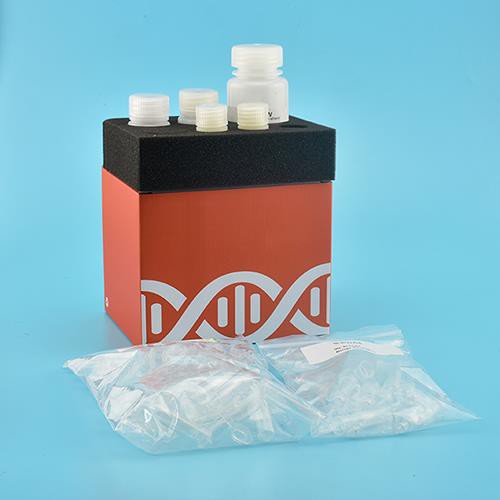Kit de ADN genómico de saliva (columna de centrifugado)