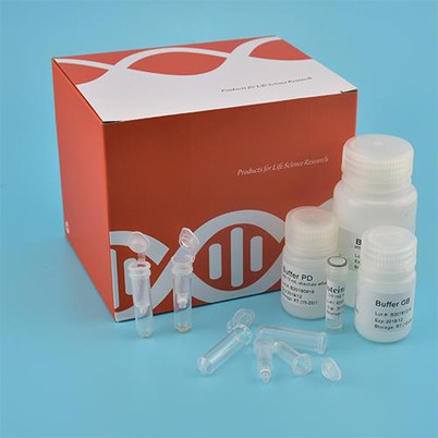 Kit de ADN genómico del suelo (columna de centrifugado)