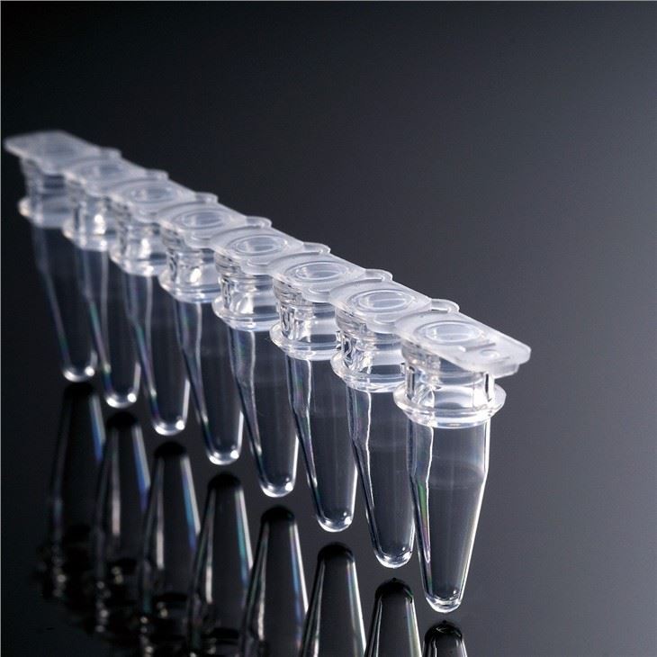 0.2ml 8 Strip PP Material PCR Tubes With Flat Cap For Laboratory Use