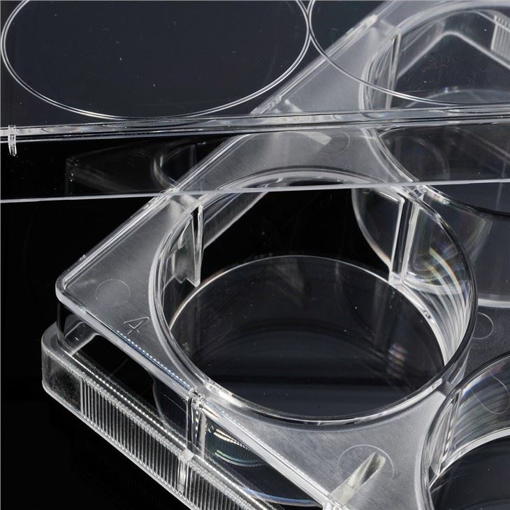 6 Well Lab Consumables Plastic Sterile Microplate Cell Culture Plate