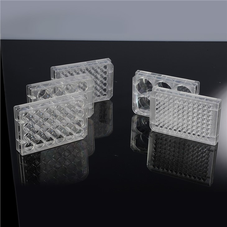 6/12/24/36/48/96-Well TC Treated Cell Culture Plates