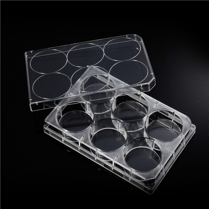 Microplaca plástica estéril bien de la placa del cultivo celular de la placa 6 del cultivo celular para el laboratorio médico