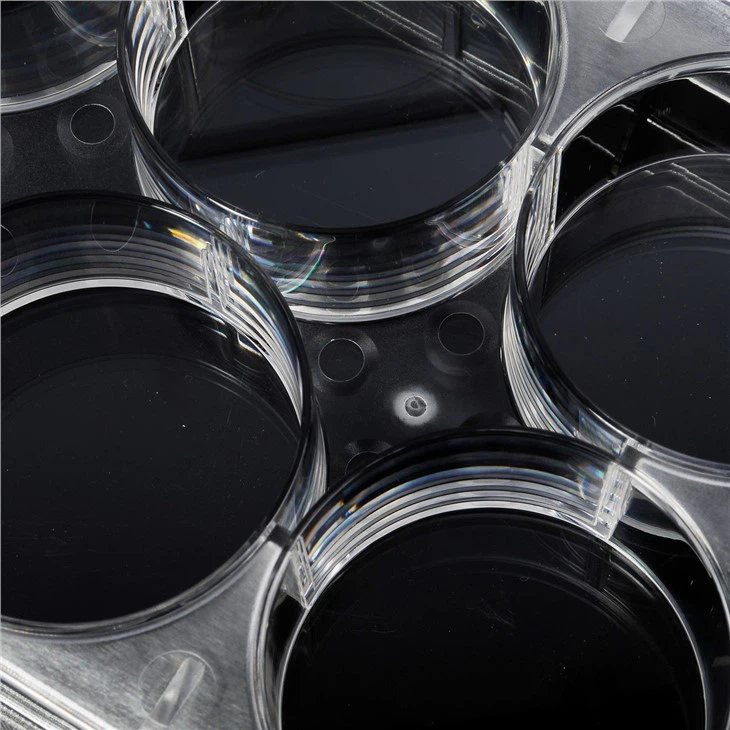 Cell Culture Plate 6 Well Sterile Plastic Cell Culture Plate Microplate For Medical Lab