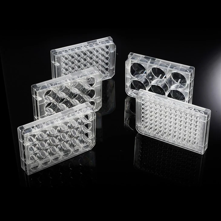 China Supplier 6/12/24/48/96 Wells Cell Culture Plates