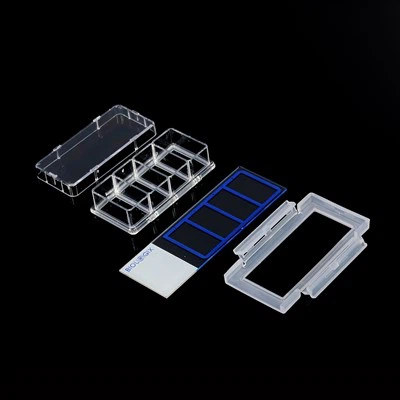 2 pocillos 4 pocillos de 8 pocillos de cultivo celular