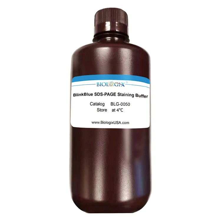 Biologix BlinkBlue™ Protein Stain Buffer ¡Solo 10 minutos!