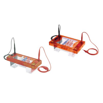 Electrofóresis Máquinas Proveedor Fábrica Biologix