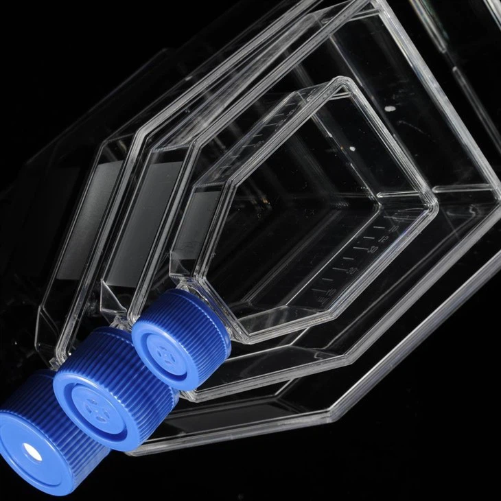 25 Cm², 75 Cm², 175 Cm² Treated Tissue Cell Culture Flask